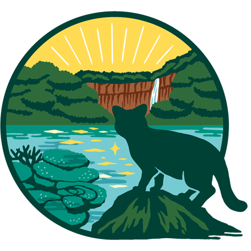 RADIANT IRIOMOTEJIMA